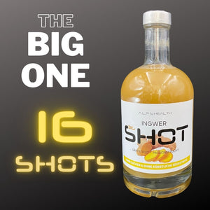 Ingwer BIG SHOT - 500 ml